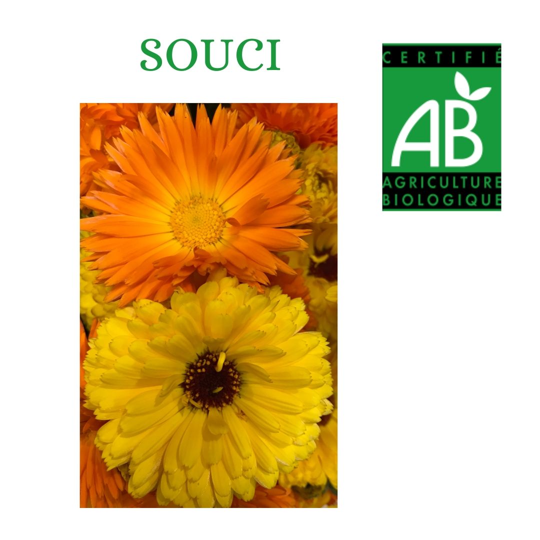 SOUCI PRODUCTION BIO